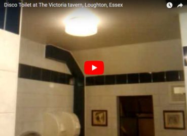 Disco Toilet