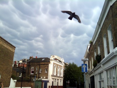 doom clouds