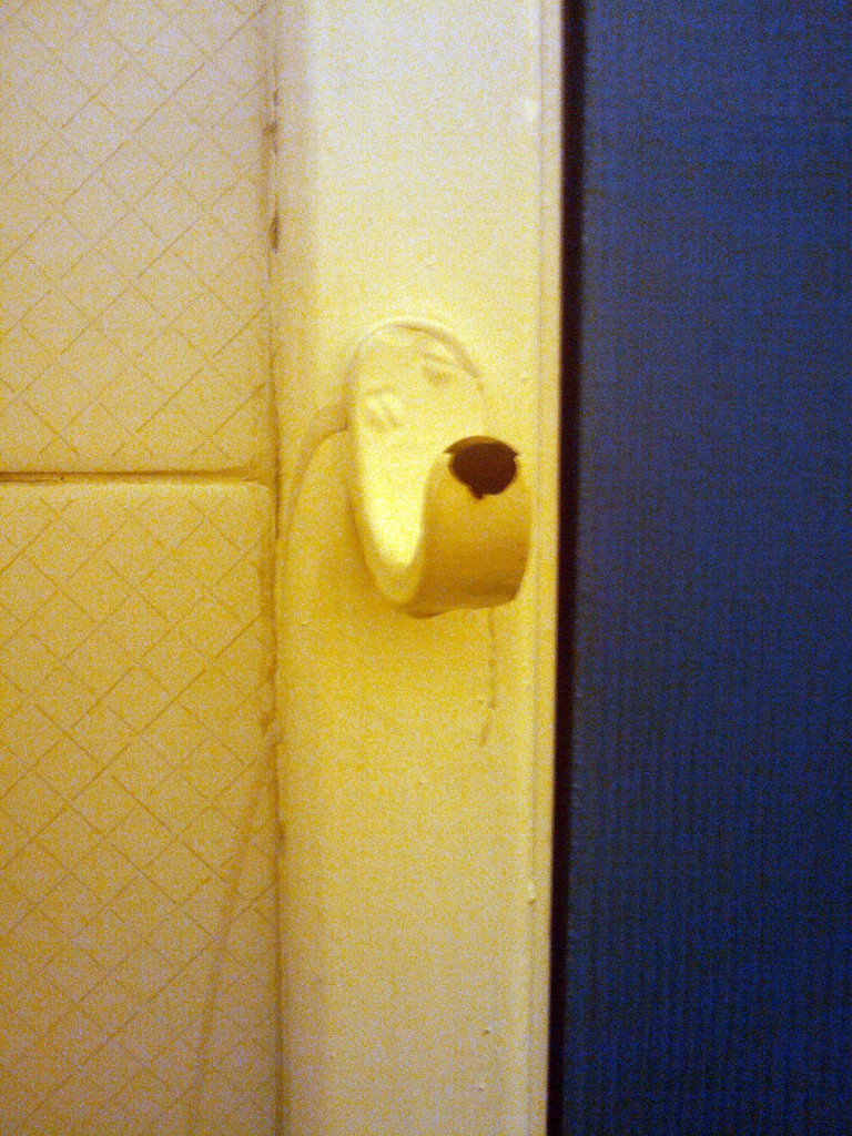 dog nose coat hook