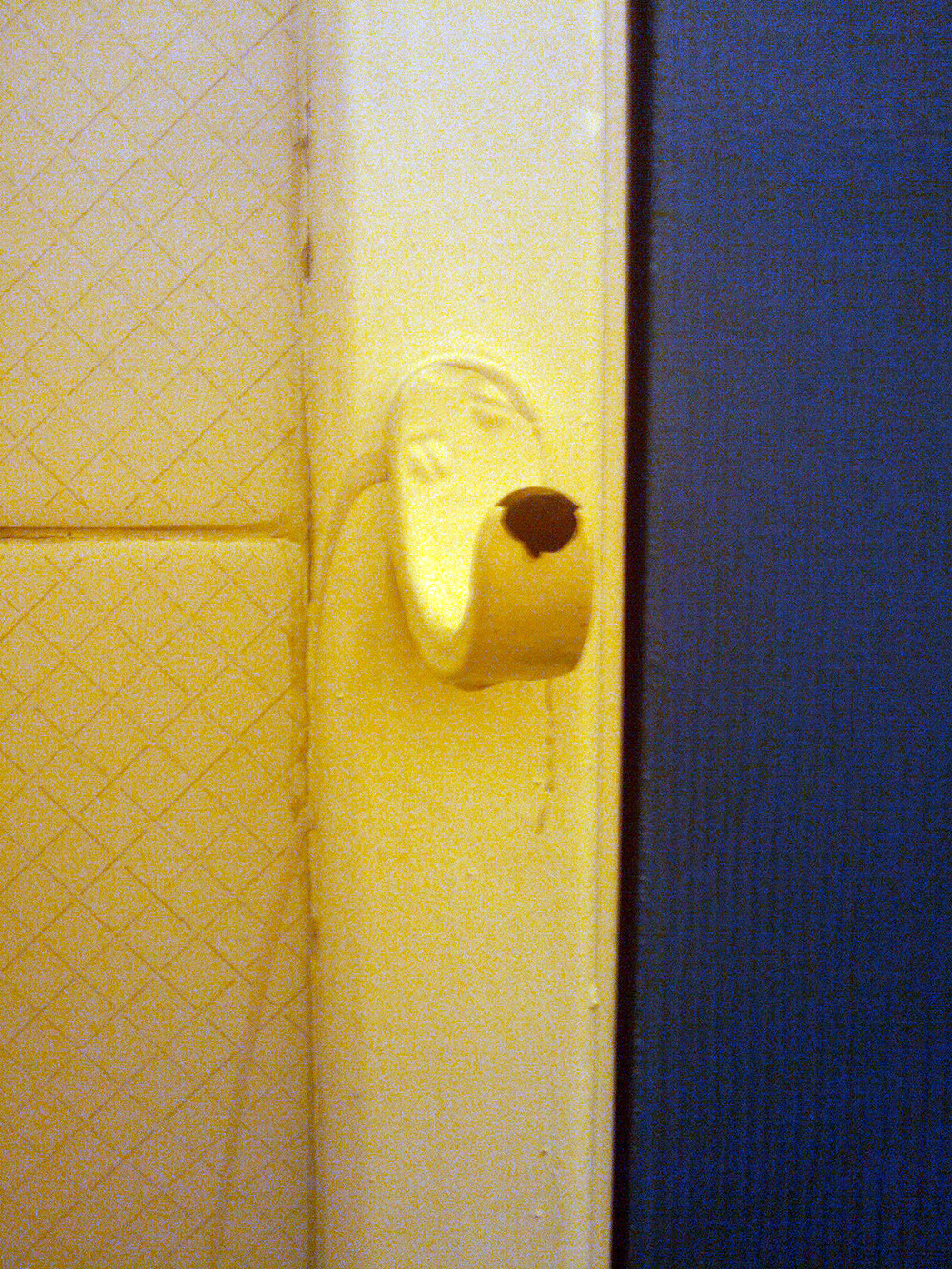 Dog Nose Coat Hook
