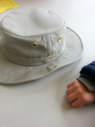 Hat Face