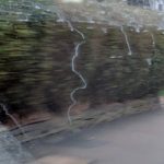 donald trump dribble water