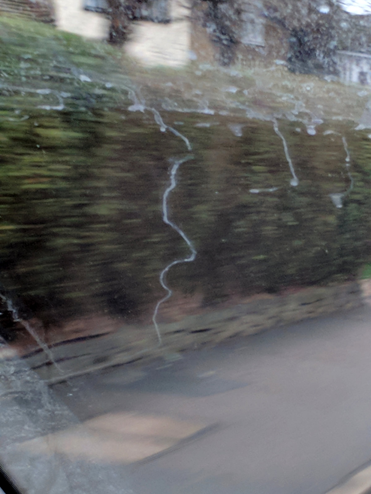 donald trump dribble water